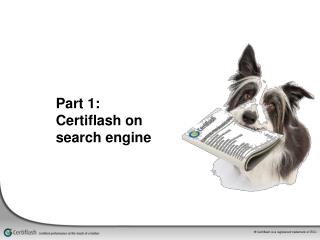 Part 1: Certiflash on search engine