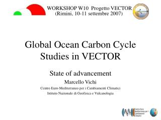 Global Ocean Carbon Cycle Studies in VECTOR
