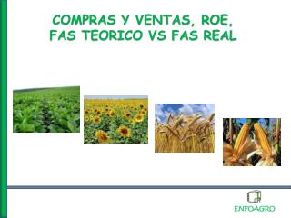 COMPRAS Y VENTAS, ROE, FAS TEORICO VS FAS REAL