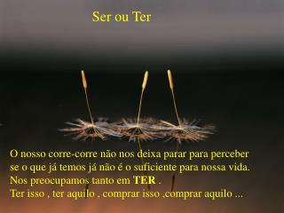 Ser ou Ter