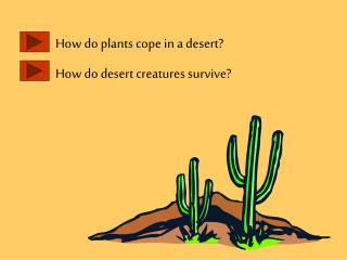 How do plants cope in a desert? How do desert creatures survive?