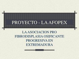 PROYECTO - LA AFOPEX