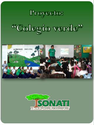 Proyecto: “Colegio verde ”