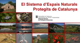 El Sistema d’Espais Naturals Protegits de Catalunya