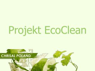 Projekt EcoClean