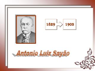 Antonio Luiz Sayão