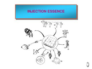 INJECTION ESSENCE