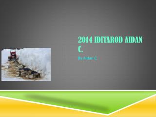 2014 Iditarod Aidan C.