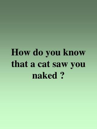 How do you know that a cat saw you naked ?