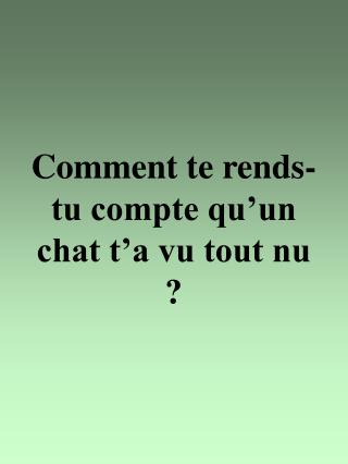 Comment te rends-tu compte qu’un chat t’a vu tout nu ?