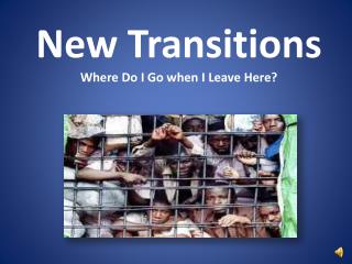 New Transitions Where Do I Go when I Leave Here?
