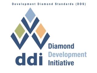 Development Diamond Standards (DDS)