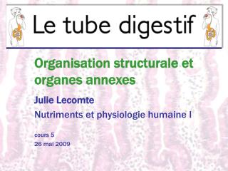 Organisation structurale et organes annexes