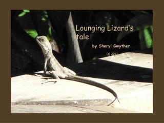 Lounging Lizard’s tale by Sheryl Gwyther (c) 2011