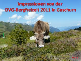 Impressionen von der DVG-Bergfreizeit 2011 in Gaschurn