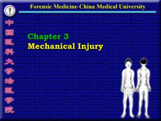 Chapter 3 Mechanical Injury