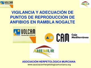 VIGILANCIA Y ADECUACIÓN DE PUNTOS DE REPRODUCCIÓN DE ANFIBIOS EN RAMBLA NOGALTE