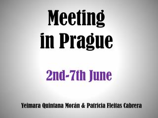 Meeting in Prague