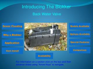 Introducing The Blokker