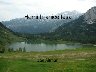 Horní hranice lesa