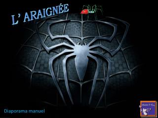 L’ araignée