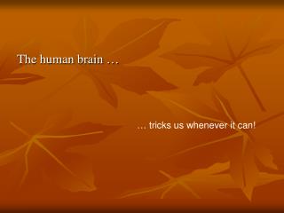 The human brain …