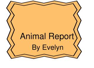 Animal Report