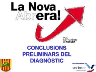 CONCLUSIONS PRELIMINARS DEL DIAGNÒSTIC