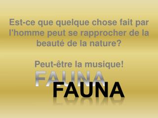 FAUNA