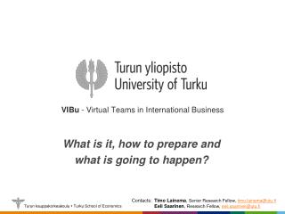VIBu - Virtual Teams in International Business