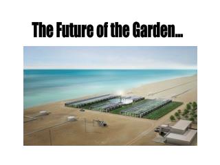 The Future of the Garden...