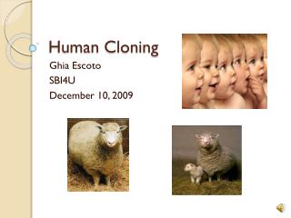 Human Cloning