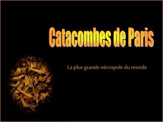 Catacombes de Paris