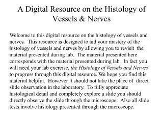 A Digital Resource on the Histology of Vessels &amp; Nerves