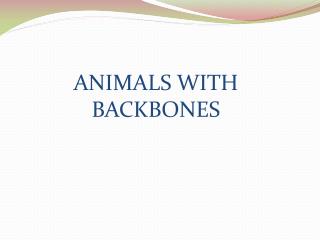 ANIMALS WITH BACKBONES