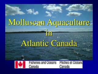 Molluscan Aquaculture in Atlantic Canada