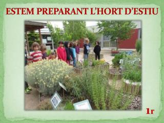 ESTEM PREPARANT L’HORT D’ESTIU