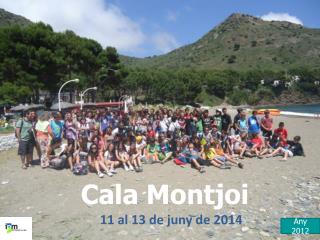 Cala Montjoi