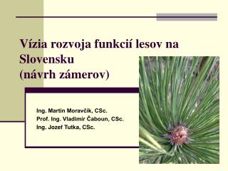 Vízia rozvoja funkcií lesov na Slovensku (návrh zámerov)