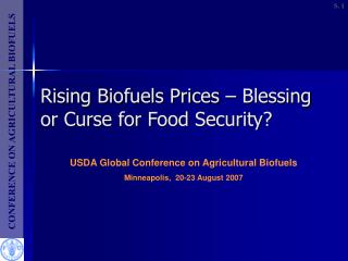 Rising Biofuels Prices – Blessing or Curse for Food Security?