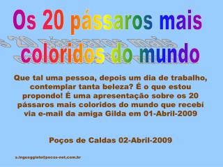 Os 20 pássaros mais coloridos do mundo