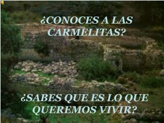 ¿SABES QUE ES LO QUE QUEREMOS VIVIR?