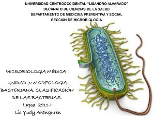 UNIVERSIDAD CENTROOCCIDENTAL “LISANDRO ALVARADO” DECANATO DE CIENCIAS DE LA SALUD