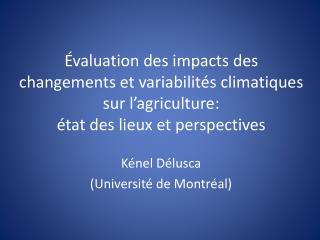 Kénel Délusca (Université de Montréal)