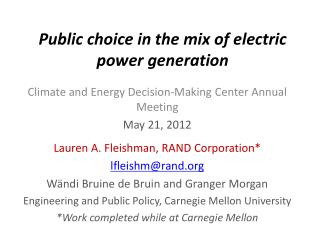 Public choice in the mix of electric power generation