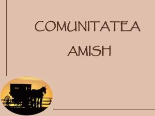 COMUNITATEA AMISH