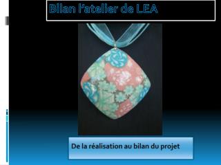 Bilan l’atelier de LEA