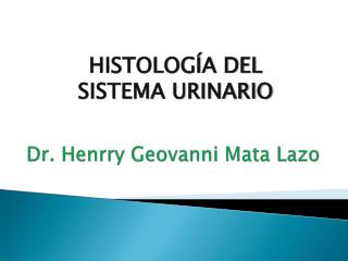 Dr. Henrry Geovanni Mata Lazo