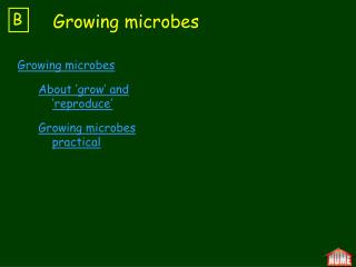 Growing microbes About ‘grow’ and ‘reproduce’ Growing microbes practical