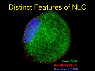 Distinct Features of NLC